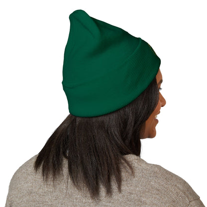 Innovation in Unity 1776 Beanie