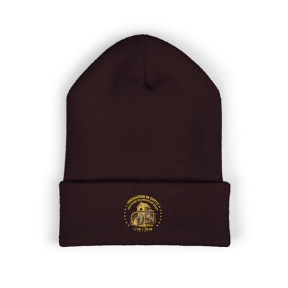 Innovation in Unity 1776 Beanie