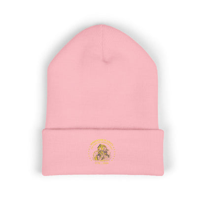 Innovation in Unity 1776 Beanie