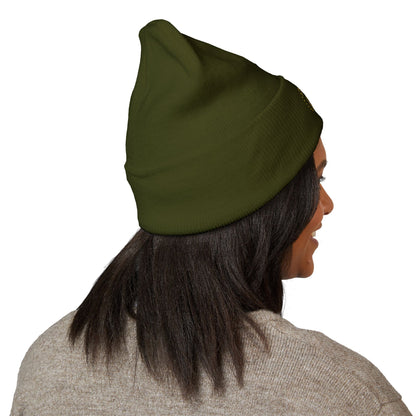 Innovation in Unity 1776 Beanie